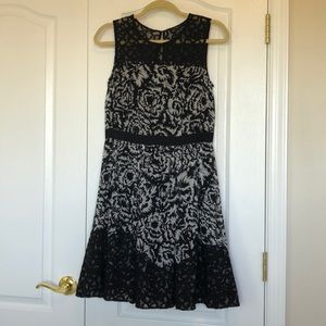 Ann Taylor Gray and Black Lace Dress